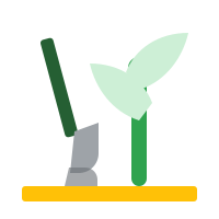 Implantación y mejora del olivar